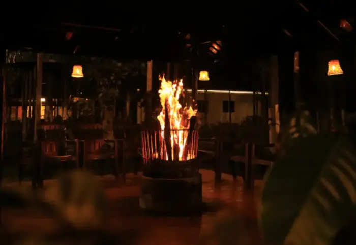 Fire Camp with Music